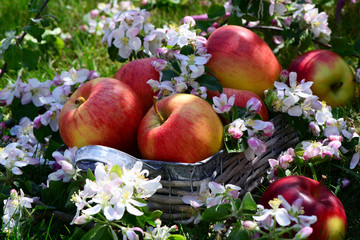 Sticker - Frühling