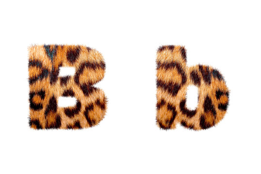 Custom english text base on leopard skin