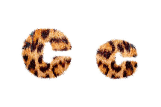 Custom english text base on leopard skin