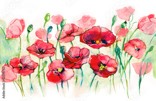 Obraz w ramie poppies horizontal