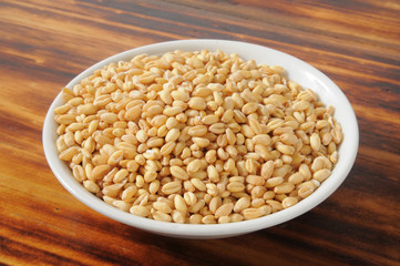 Poster - Wheat kernels