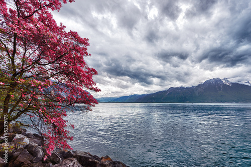 Naklejka - mata magnetyczna na lodówkę Flowers against mountains, Montreux. Switzerland