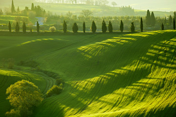 Wall Mural - Countryside, San Quirico d`Orcia , Tuscany, Italy