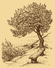 Vector Landscape. Old Bench Near Tree On The Bank Of Lake