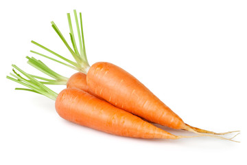 carrot group