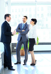 Wall Mural - Businesspeople Having Meeting In Modern Office