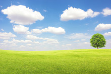Green Field And Tree With Blue Sky Clouds