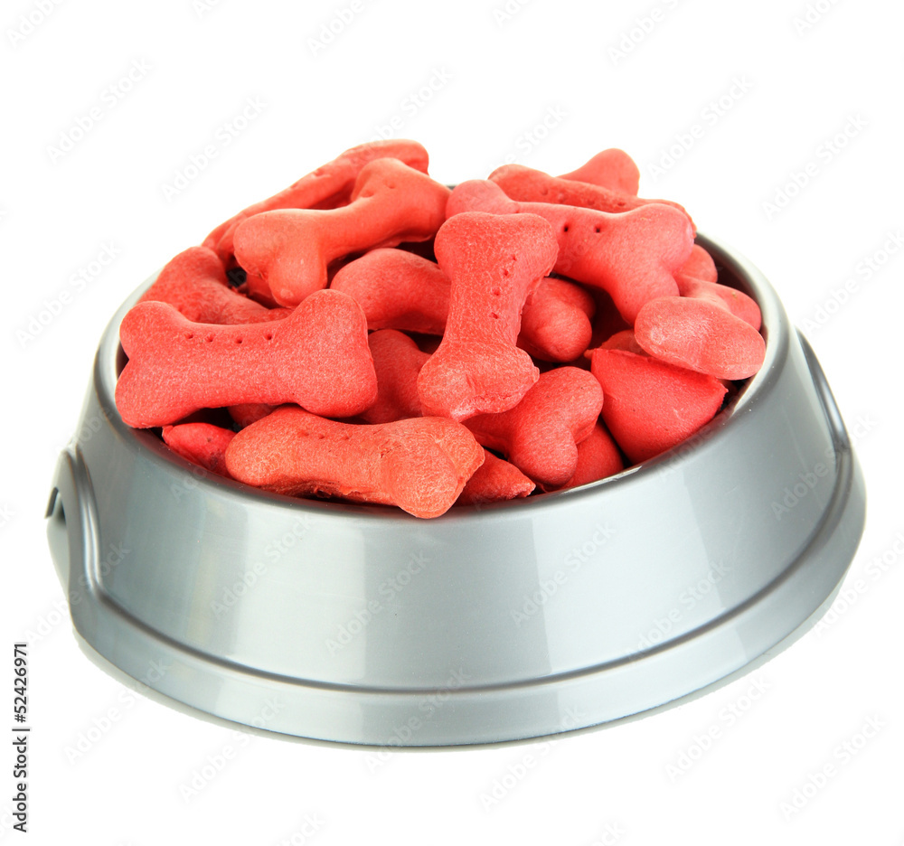 Dry dog treats in bowl isolated on white