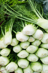 Wall Mural - Fresh fennel bulbs at the market