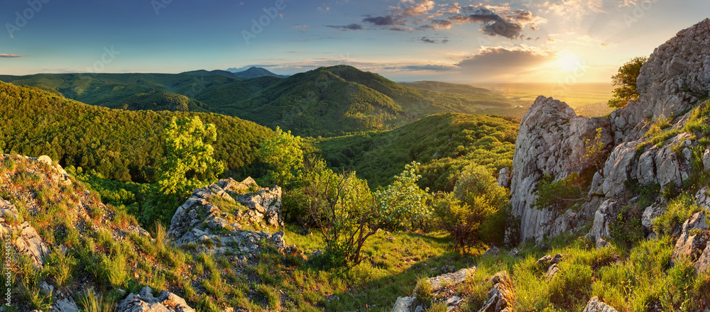 Mountain forest panorama - Slovakia - obrazy, fototapety, plakaty 