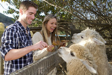 Couple At Petting Zoo