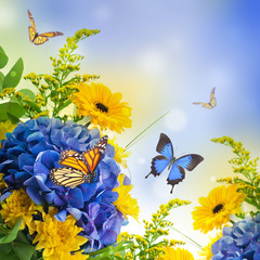 Fototapete - Bouquet from blue hydrangeas and  butterfly, a flower background
