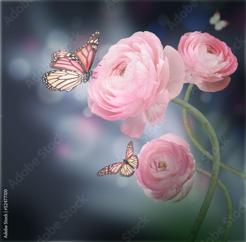 Naklejka dekoracyjna Bouquet of pink roses against a dark background butterfly