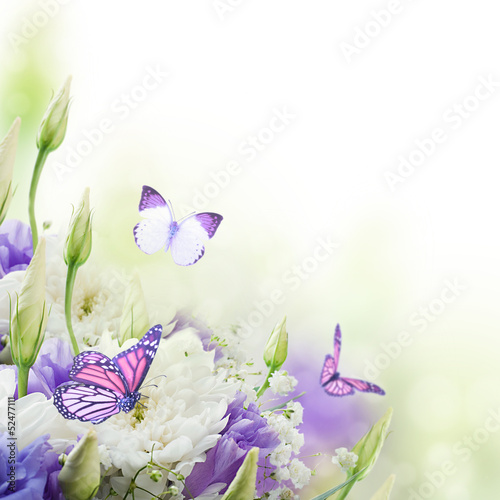 bialy-bukiet-kwiatow-z-fioletowymi-motylami