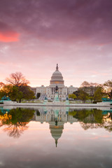 Fototapete - The United States Capitol building in Washington DC, sunrise