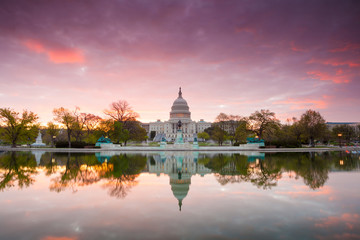 Wall Mural - The United States Capitol building in Washington DC, sunrise