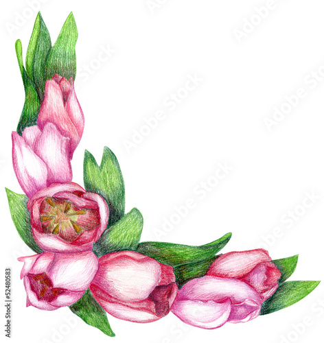 recznie-rysowane-rogu-tulipan