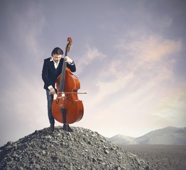 Musician playing bass