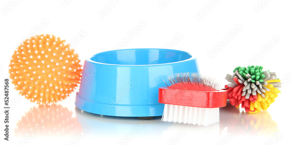 Pet accessories isolated on white