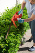 © evgenyb - Woman trimming bushes