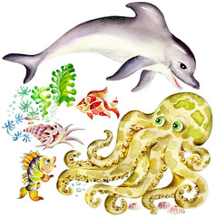 Aquatic animals: dolphin and octopus, fishes and shell