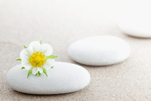 The Group Of Stones With A Flower Lies On Small Sea Sand