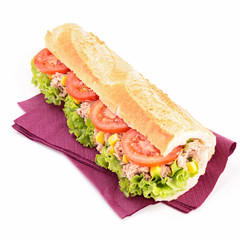 Poster - isolated sandwich