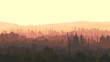 Horizontal illustration of big arab city at sunset.