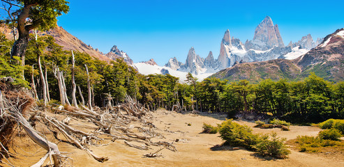 Wall Mural - Beautiful landscape with Mt Fitz Roy in Patagonia, South America