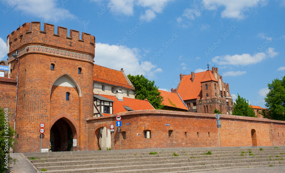 Gateway in Torun, Poland - obrazy, fototapety, plakaty 