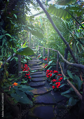 Naklejka dekoracyjna tropical forest