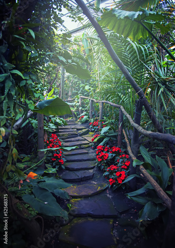 Naklejka - mata magnetyczna na lodówkę tropical forest