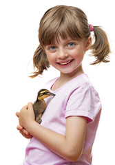 Wall Mural - little girl holding one duckling