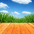 Fresh spring green grass with blue sky and wood floor background