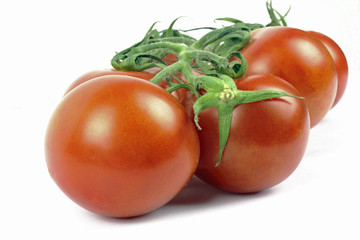 tomatoes on the white background