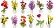 minimalistic  floral bouquets  set