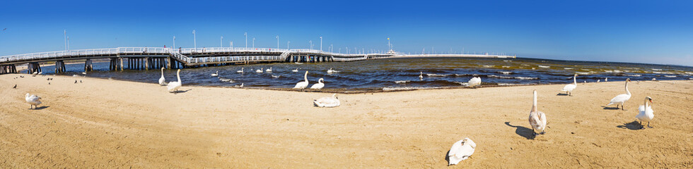 Wall Mural - Panorama at Sopot molo - the longest wooden pier in Europe