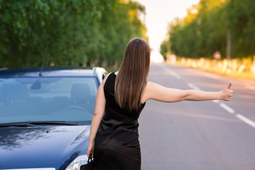 Wall Mural - Beautiful businesswoman near her car trying to stop another car