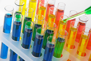 Wall Mural - Colorful test tubes close-up