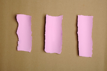 Torn Pink Paper Scraps