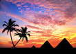 Egyptian Pyramids and palm trees