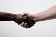 © slasnyi - African American man shaking hands with caucasian man
