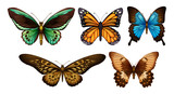 Fototapeta Motyle - Mixed butterflies