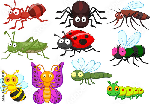 Naklejka na szybę Insect cartoon collection set