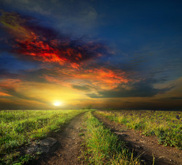 Canvas Print - countryside road in summer morning