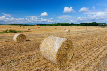 Hay bales on the field