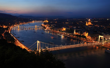 Wall Mural - Budapest and Danube at night