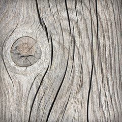 Old wood texture, background