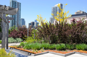 Wall Mural - Green Roof against city skyline