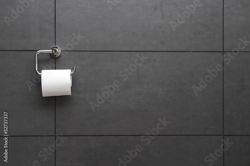 papier-toaletowy-na-scianie